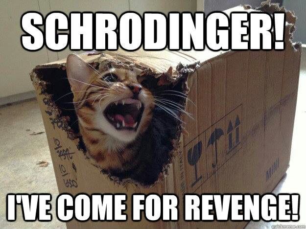 SchrodingerRevenge