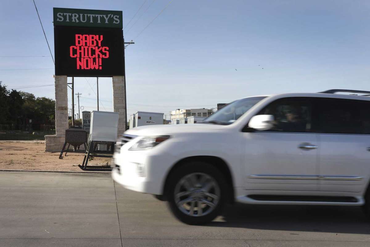 GetYerChicksRightHere